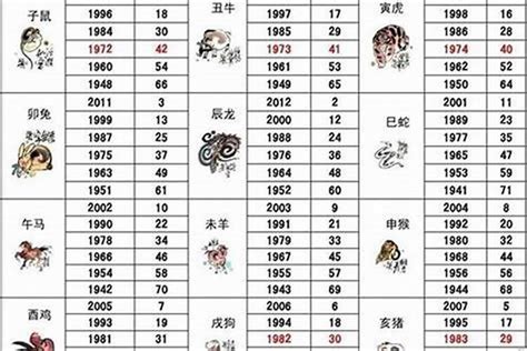 2007年屬什麼|2007年属什么生肖？2007年生肖属相是猪